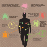 Benefits-of-power-walking.png