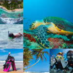 Unawatuna3