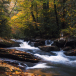 sounds-of-nature.png